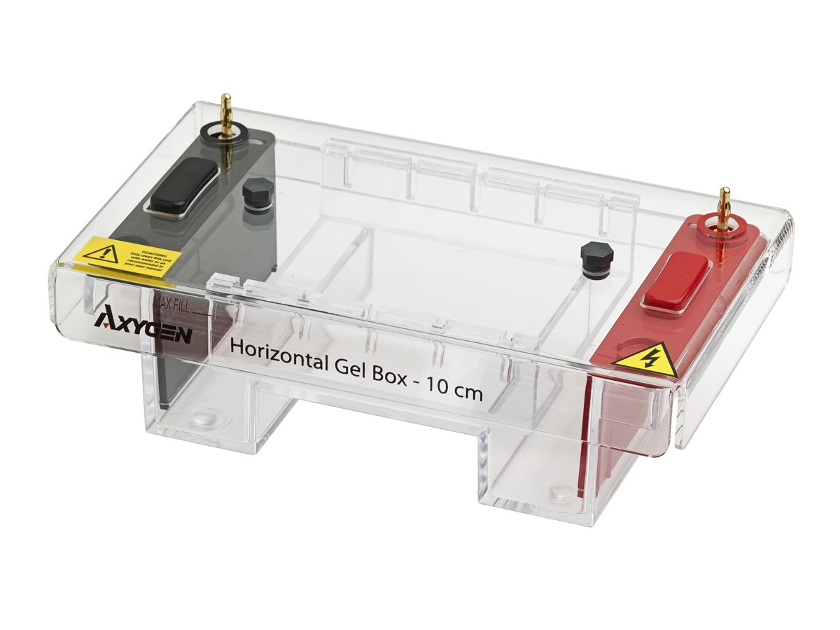 Axygen® Electrophoresis System