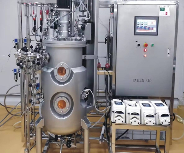 Bailun 5000 L / 6000 L Stainless Steel Fermentor