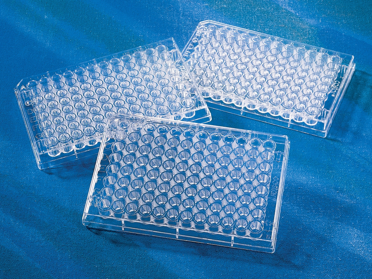 Corning 3599 – Costar 96 Well Clear Flat Bottom TC-Treated Microplate