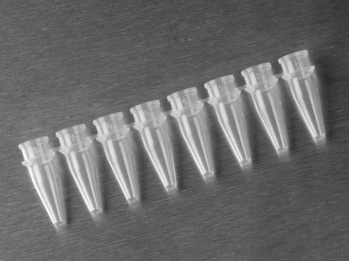 Axygen® PCR-0208-C 0.2 mL 8-Strip Thin-Wall PCR Tubes, Clear, Non-Sterile