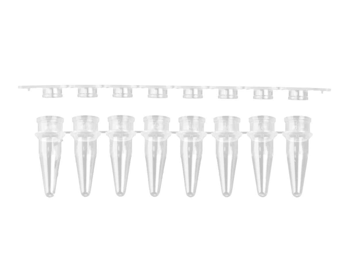 Axygen® PCR-0208-FCP-C 0.2 mL 8-Strip Thin-Wall PCR Tubes with Flat Cap Strips, Clear, Non-Sterile